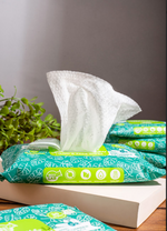 Load image into Gallery viewer, BESTLAB JEJU ALOE FRESH HAND AND FACE WIPES 30+6 Pulls