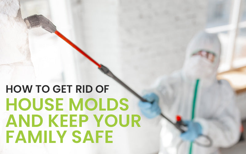 How to Get Rid of House Molds and Keep Your Family Safe