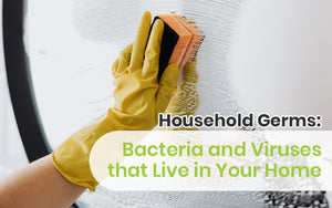 Household Germs: Bacteria and Viruses that Live in Your Home