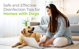 Safe and Effective Disinfection Tips for Homes with Dogs