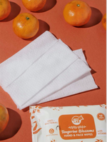 Load image into Gallery viewer, TANGERINE BLOSSOM  HAND AND FACE WIPES  (Anti-Bacterial, Moisturizing, with Vitamin E)-10 Pulls
