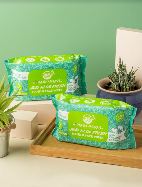 Antibacterial Wet Wipes Hands and Face Moisturizing Wipes with Aloe